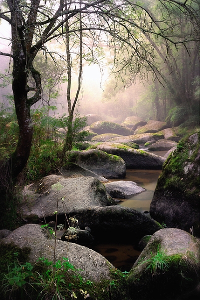 Paysage 27_09_09n02.jpg